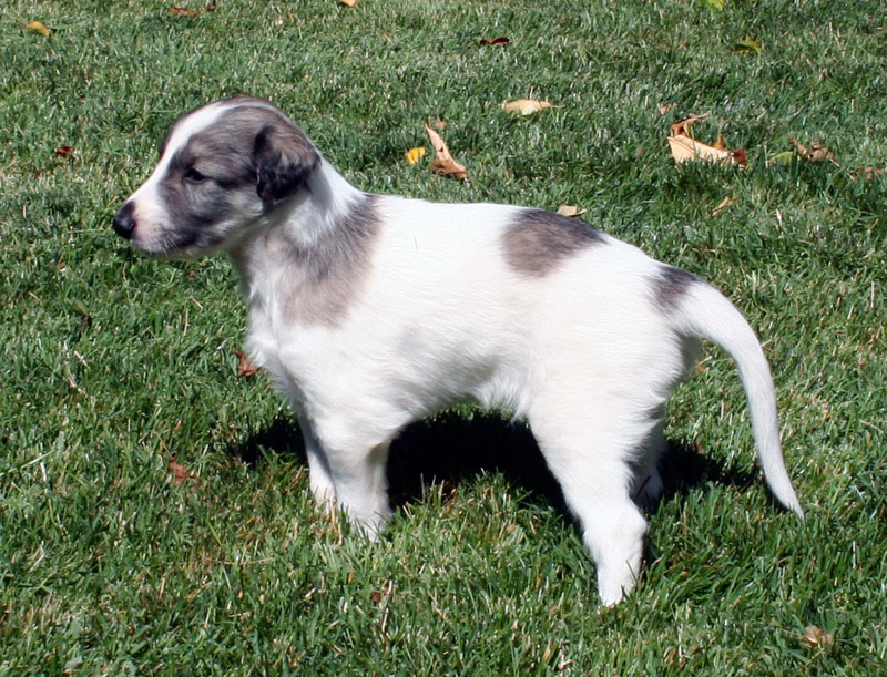 Surf Spots - Girl 2 Grass